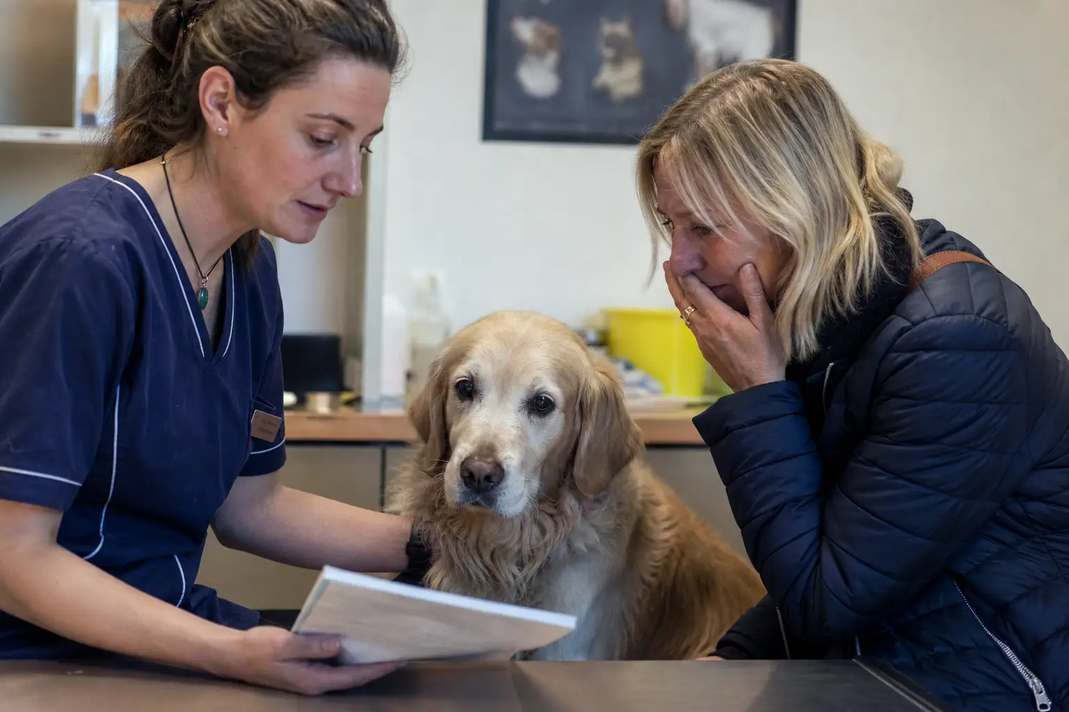 Vétérinaire expliquant un document à une propriétaire émue en salle de consultation, un chien âgé assis calmement entre elles