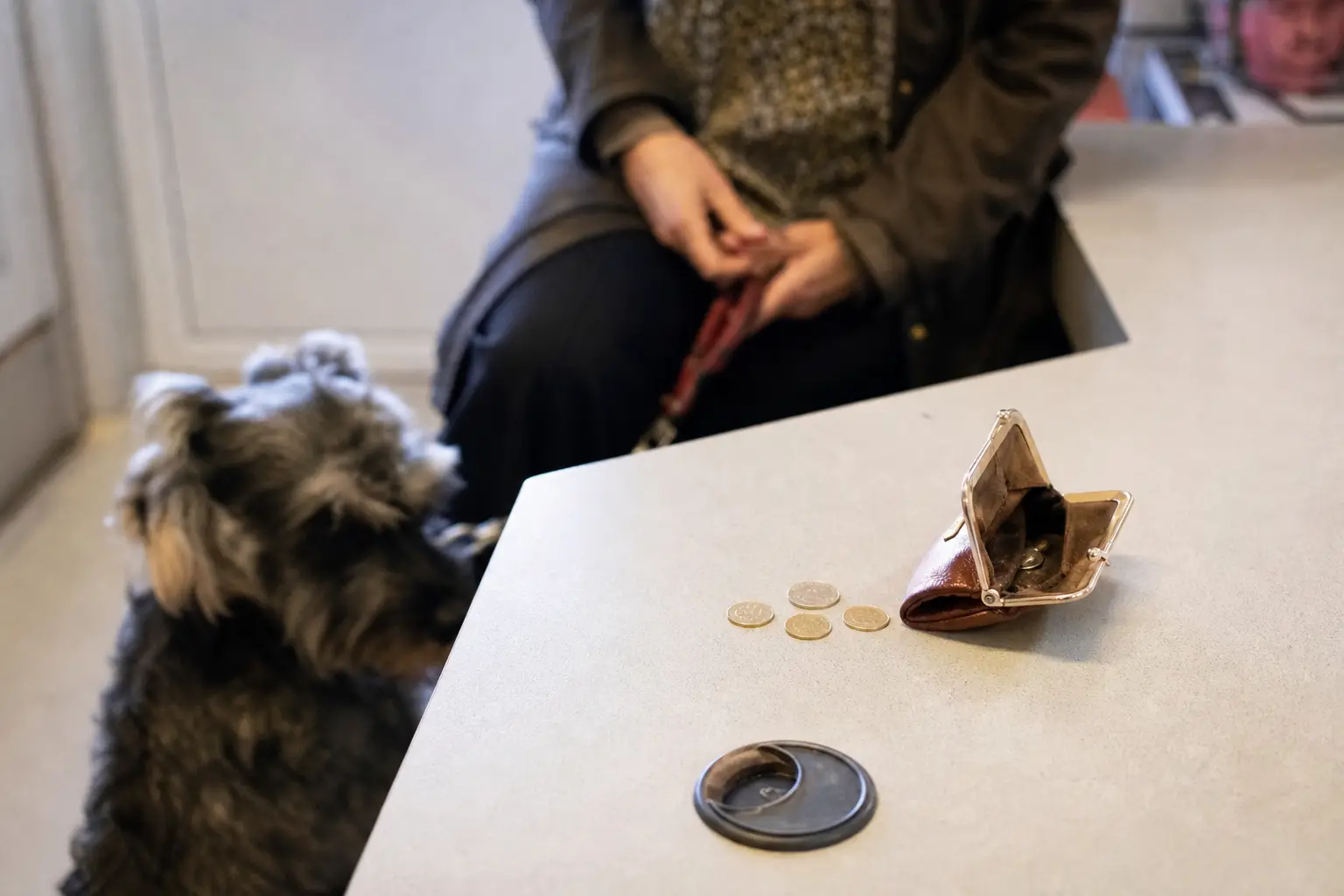 Porte-monnaie ouvert et pièces posées sur le comptoir d'une clinique vétérinaire, un chien en laisse patiente au premier plan