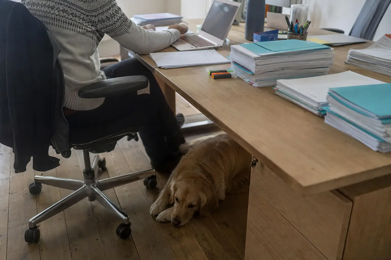 Bureau de travail avec documents classés en piles, surligneurs et ordinateur, un chien couché sous la chaise